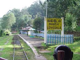 lovedale cab service to coimbtore