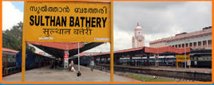 ooty to sulthan bathery cab service