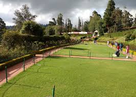 taxi to ooty tea park